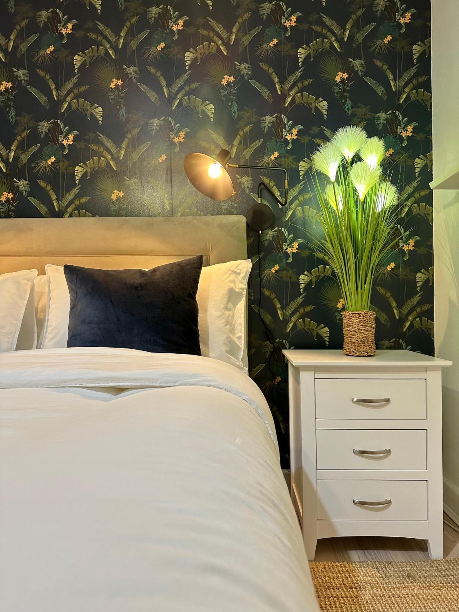 Blush Jungle - Homestay Dublin Exterior photo