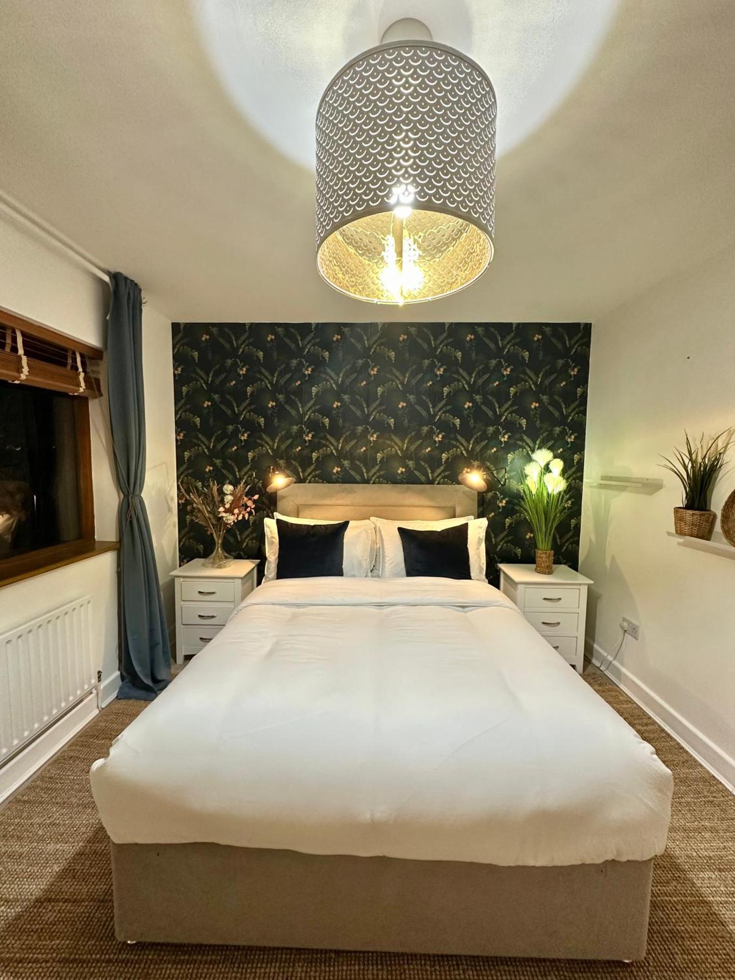 Blush Jungle - Homestay Dublin Exterior photo